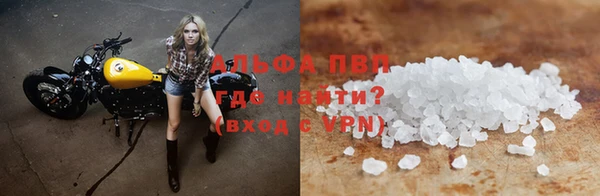 шишки Галич