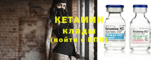 шишки Галич