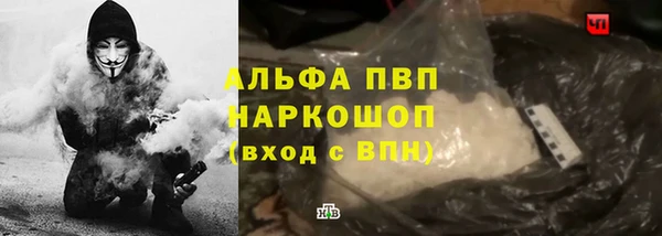прущие грибы Кулебаки