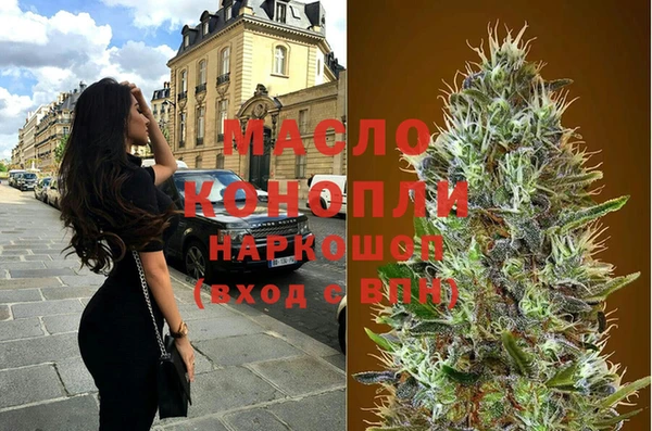 шишки Магас