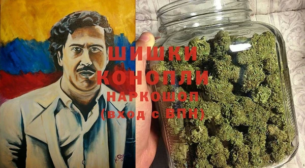 ГАЛЛЮЦИНОГЕННЫЕ ГРИБЫ Липки