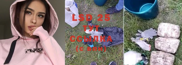 ГАЛЛЮЦИНОГЕННЫЕ ГРИБЫ Липки