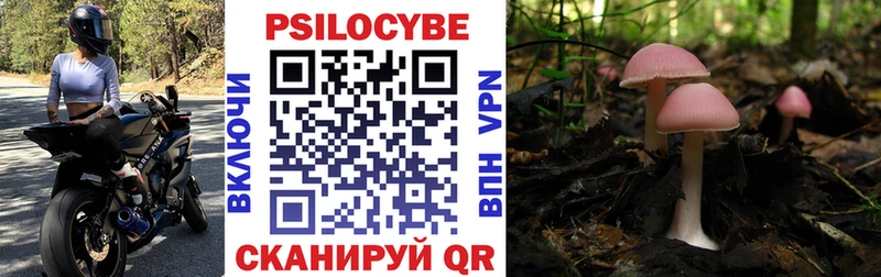 Псилоцибиновые грибы прущие грибы продажа наркотиков Лангепас